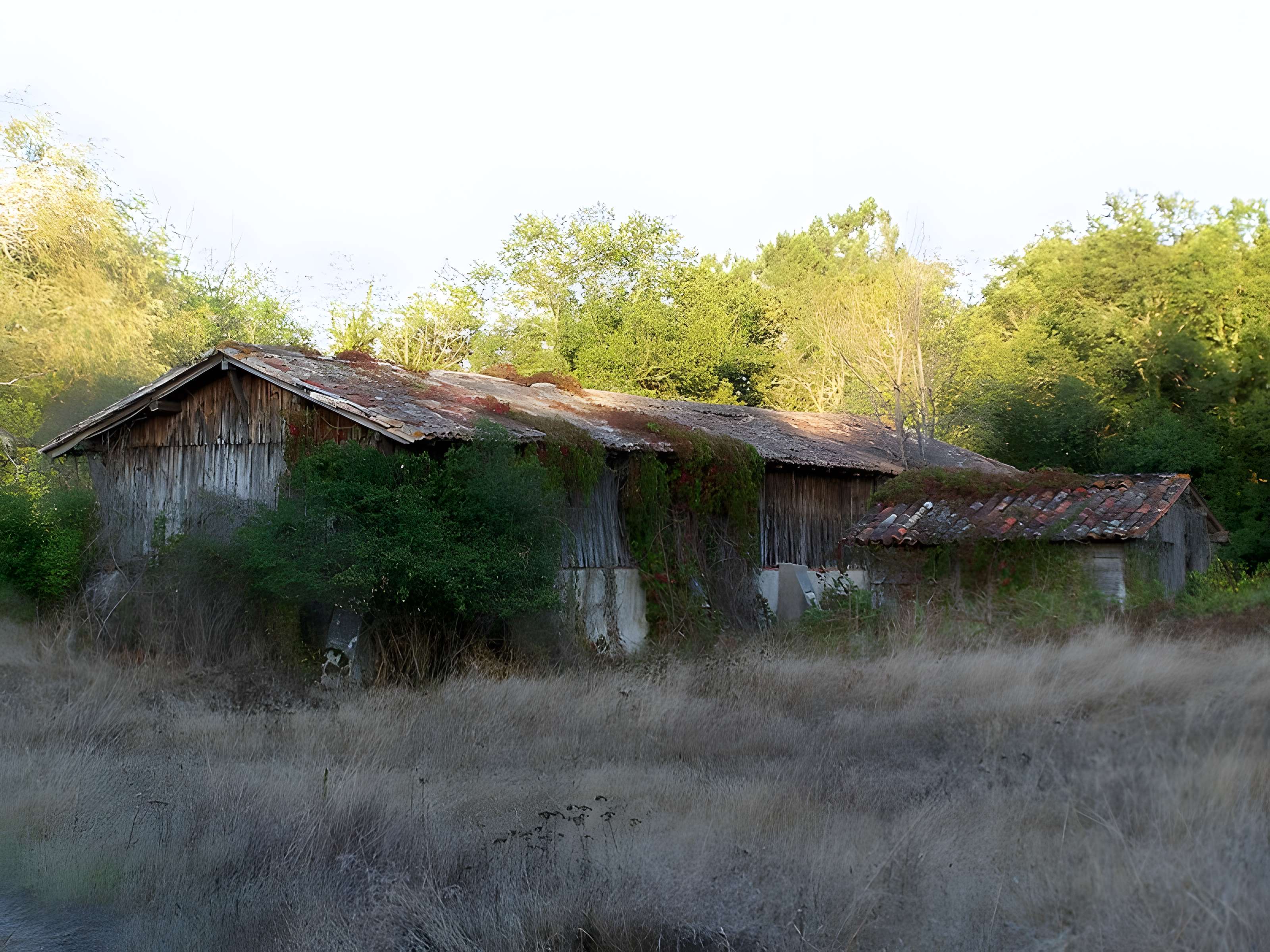 Métairie d'Hourtan à Lartigue