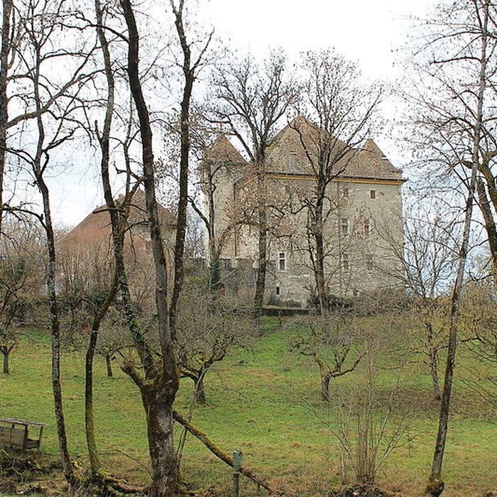 Photo de Château dHéré