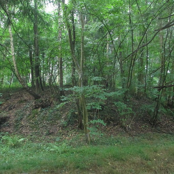 Photo de Motte féodale dite Garenne-de-la-Motte