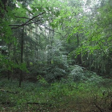 Motte féodale dite Garenne-de-la-Motte