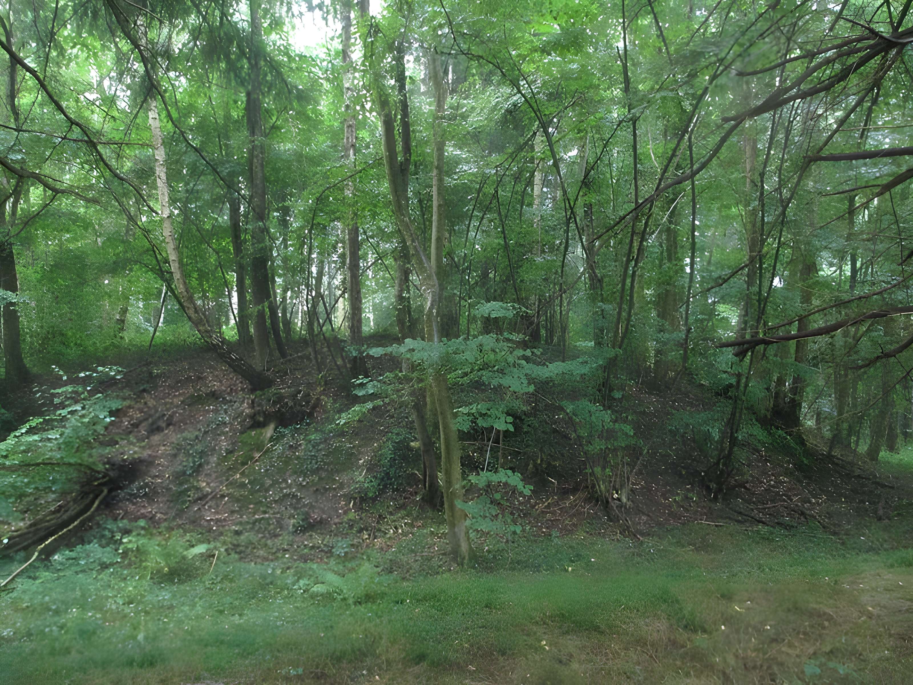 Motte castrale de Garenne-de-la-Motte 