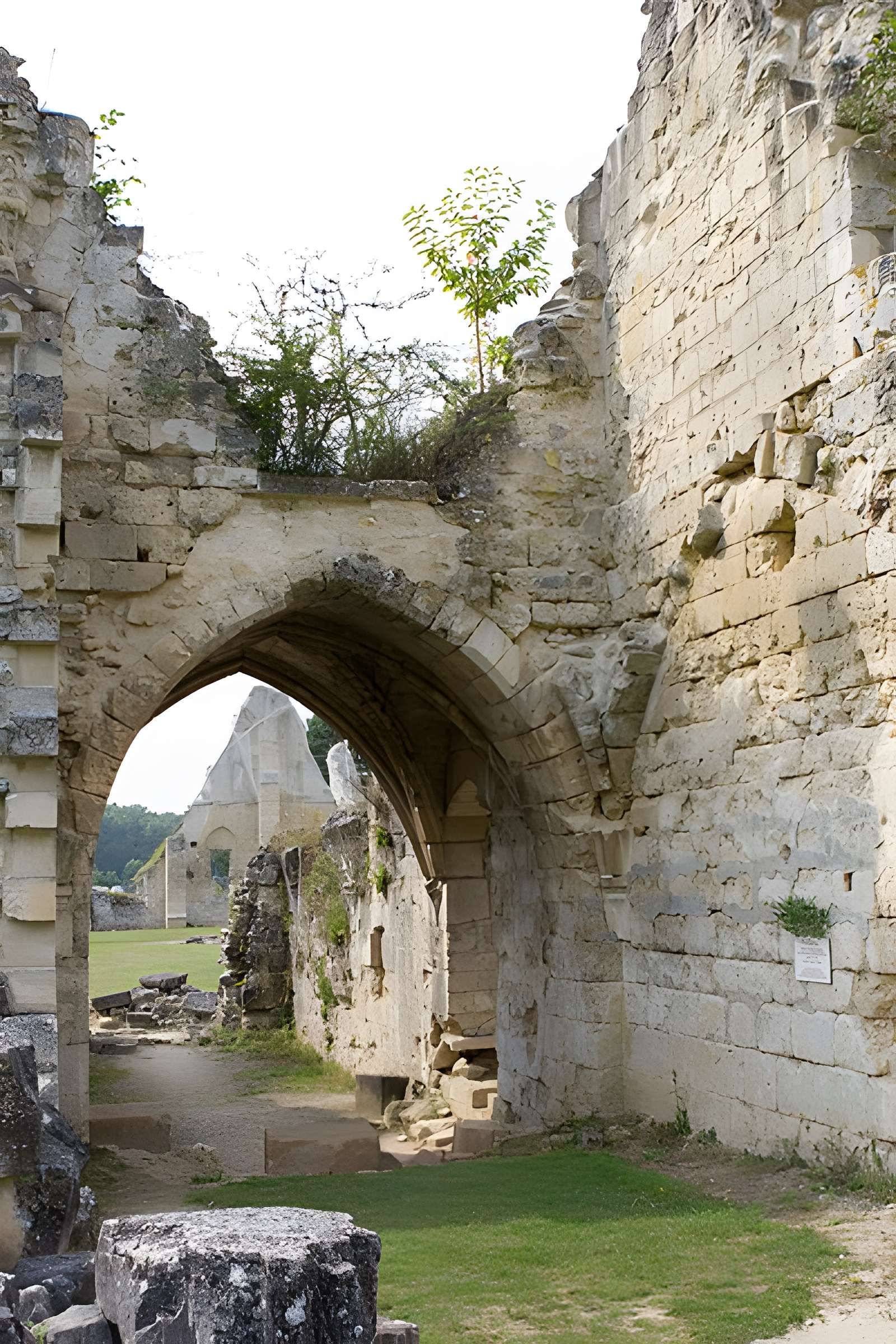 Abbaye de Vauclair