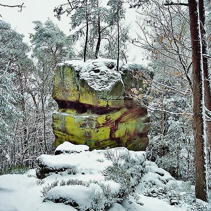Photo de Mur païen du mont Sainte-Odile à Ottrott