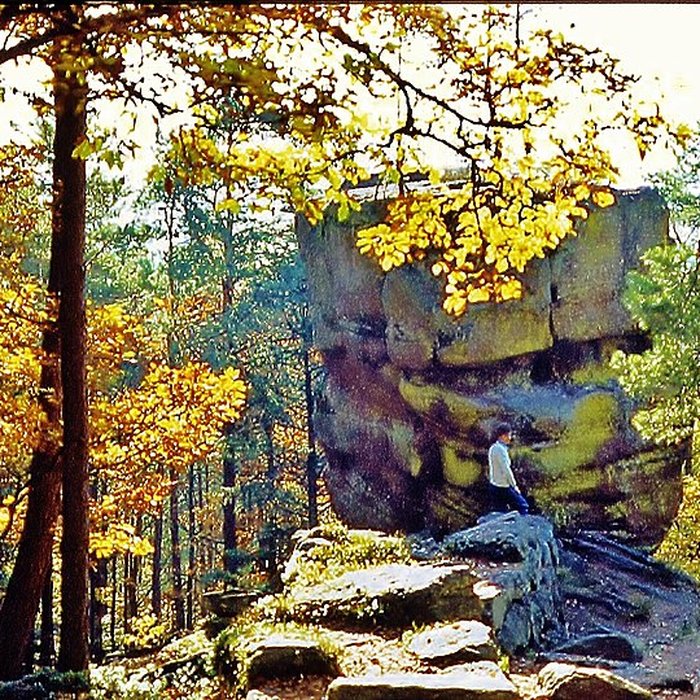 Photo de Mur païen du mont Sainte-Odile à Ottrott
