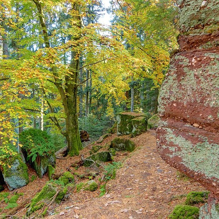 Photo de Mur païen du mont Sainte-Odile à Ottrott