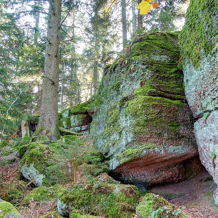 Photo de Mur païen du mont Sainte-Odile à Ottrott