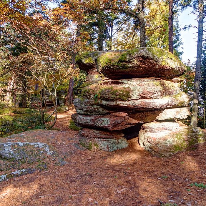 Photo de Mur païen du mont Sainte-Odile à Ottrott