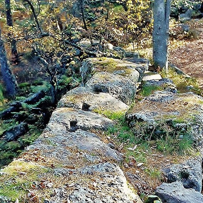 Photo de Mur païen du mont Sainte-Odile à Ottrott