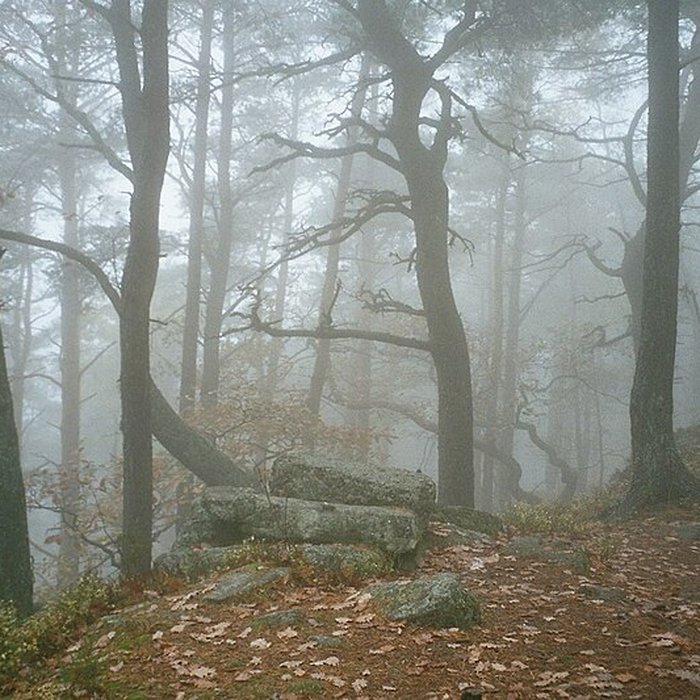 Photo de Mur païen du mont Sainte-Odile à Ottrott