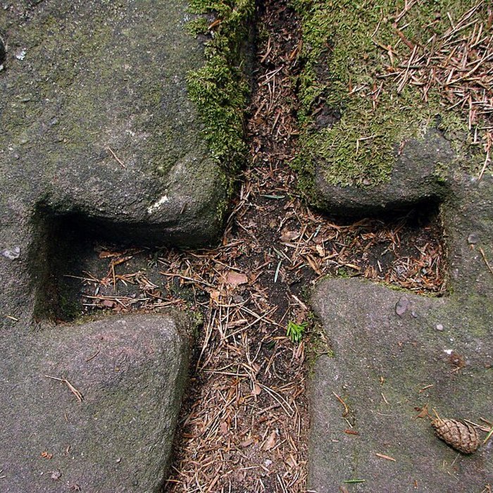 Photo de Mur païen du mont Sainte-Odile à Ottrott