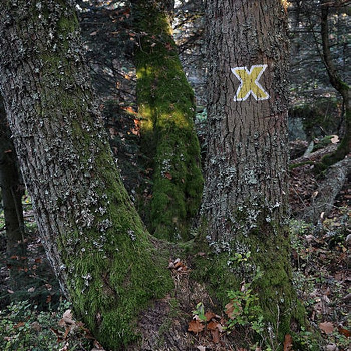 Photo de Mur païen du mont Sainte-Odile à Ottrott