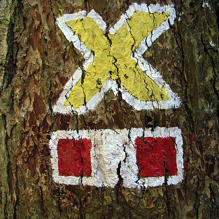 Photo de Mur païen du mont Sainte-Odile à Ottrott