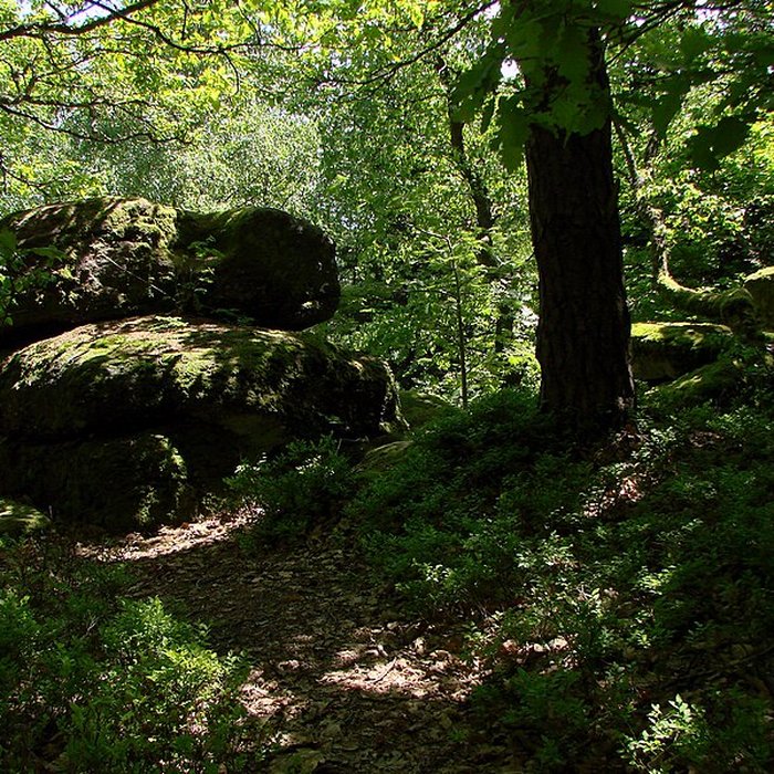 Photo de Mur païen du mont Sainte-Odile à Ottrott
