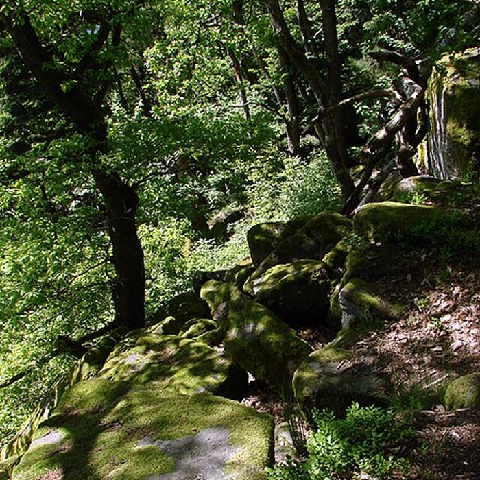 Photo de Mur païen du mont Sainte-Odile à Ottrott