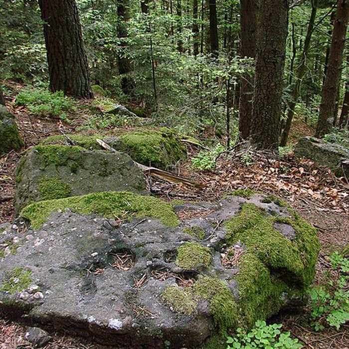 Photo de Mur païen du mont Sainte-Odile à Ottrott