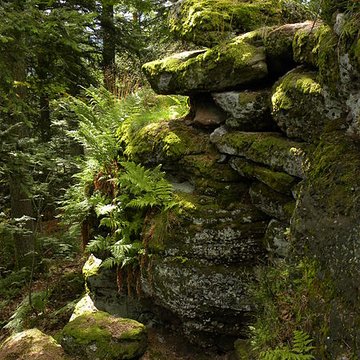 Mur païen du mont Sainte-Odile à Ottrott
