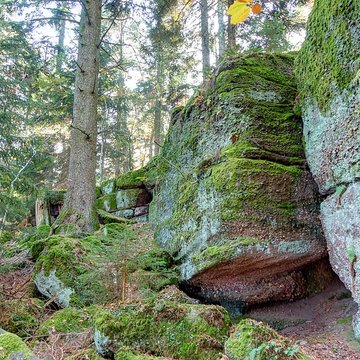 Mur païen du mont Sainte-Odile à Ottrott