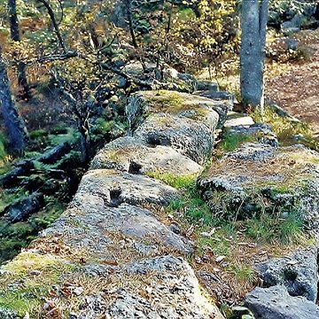 Mur païen du mont Sainte-Odile à Ottrott