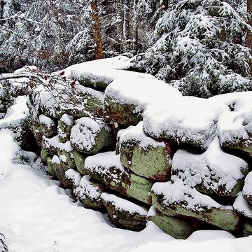 Mur païen du mont Sainte-Odile à Ottrott