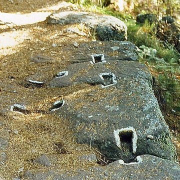 Mur païen du mont Sainte-Odile à Ottrott