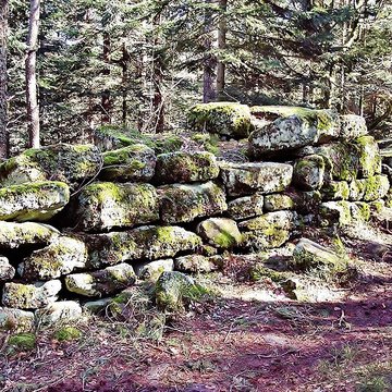 Mur païen du mont Sainte-Odile à Ottrott