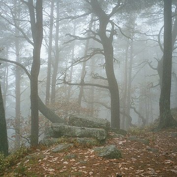 Mur païen du mont Sainte-Odile à Ottrott