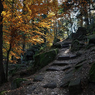 Mur païen du mont Sainte-Odile à Ottrott