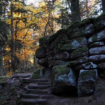 Mur païen du mont Sainte-Odile à Ottrott