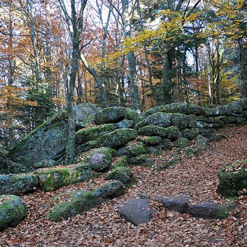 Mur païen du mont Sainte-Odile à Ottrott