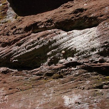 Mur païen du mont Sainte-Odile à Ottrott