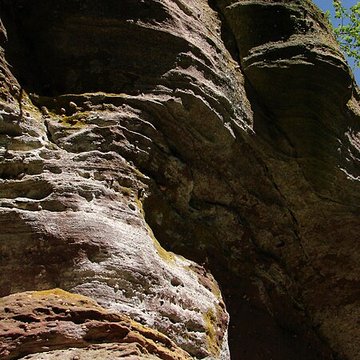 Mur païen du mont Sainte-Odile à Ottrott