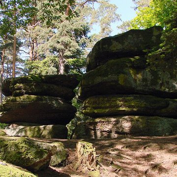 Mur païen du mont Sainte-Odile à Ottrott