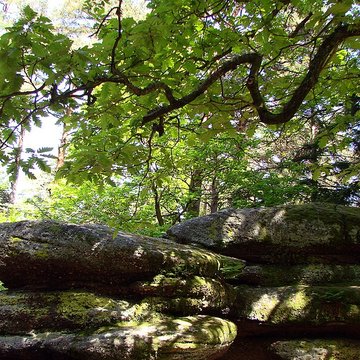 Mur païen du mont Sainte-Odile à Ottrott