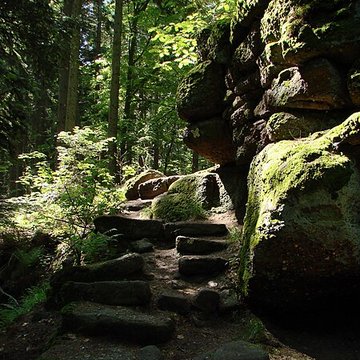 Mur païen du mont Sainte-Odile à Ottrott