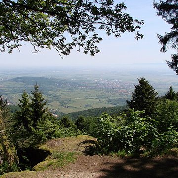 Mur païen du mont Sainte-Odile à Ottrott