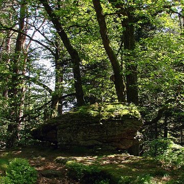 Mur païen du mont Sainte-Odile à Ottrott