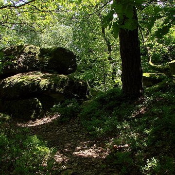 Mur païen du mont Sainte-Odile à Ottrott