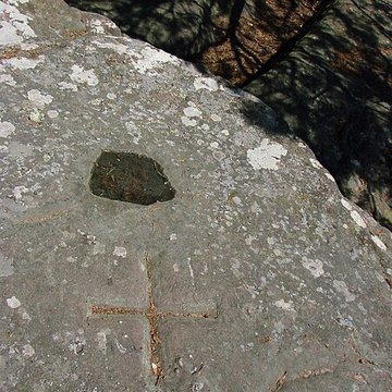 Mur païen du mont Sainte-Odile à Ottrott