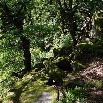 Mur païen du mont Sainte-Odile à Ottrott