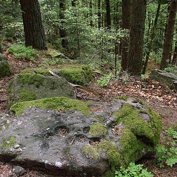 Mur païen du mont Sainte-Odile à Ottrott