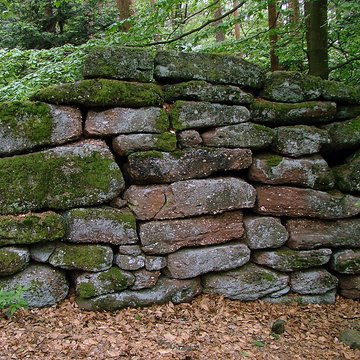 Mur païen du mont Sainte-Odile à Ottrott