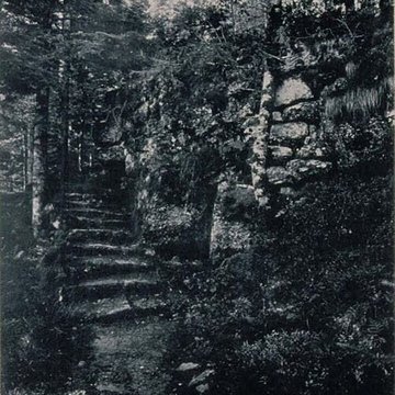 Mur païen du mont Sainte-Odile à Ottrott