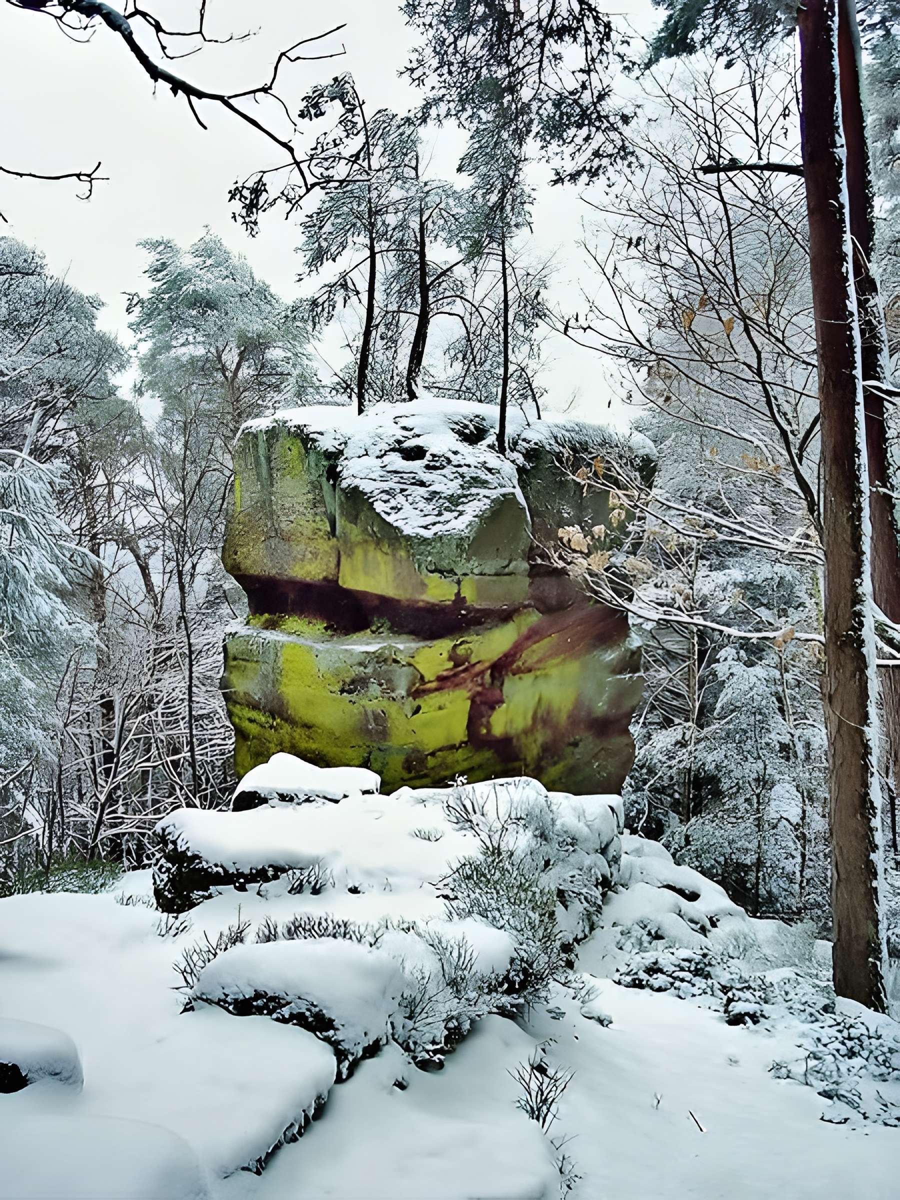 Mur païen du mont Sainte-Odile à Ottrott