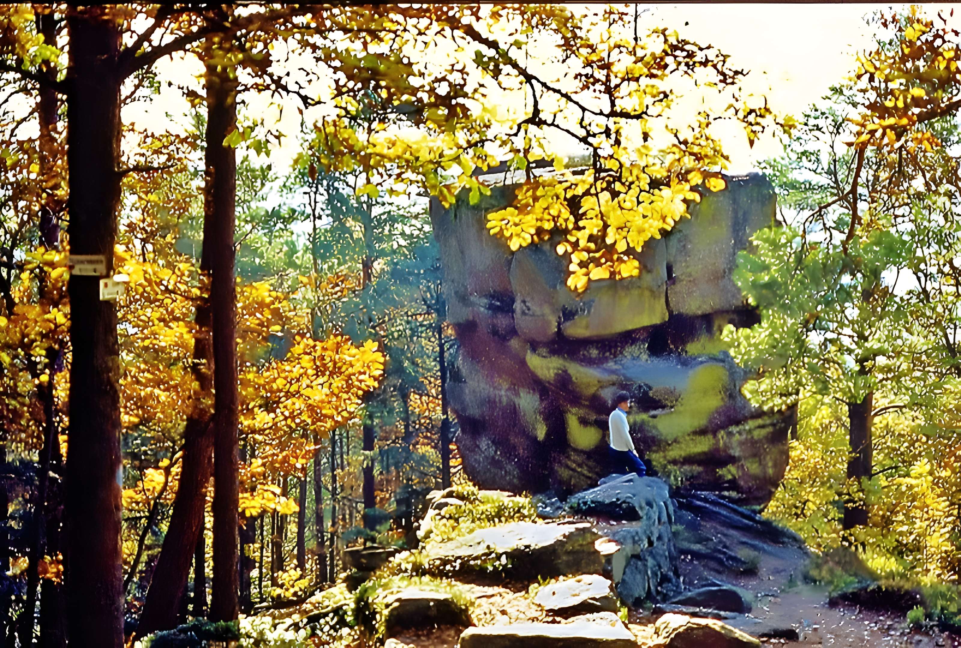 Mur païen du mont Sainte-Odile à Ottrott