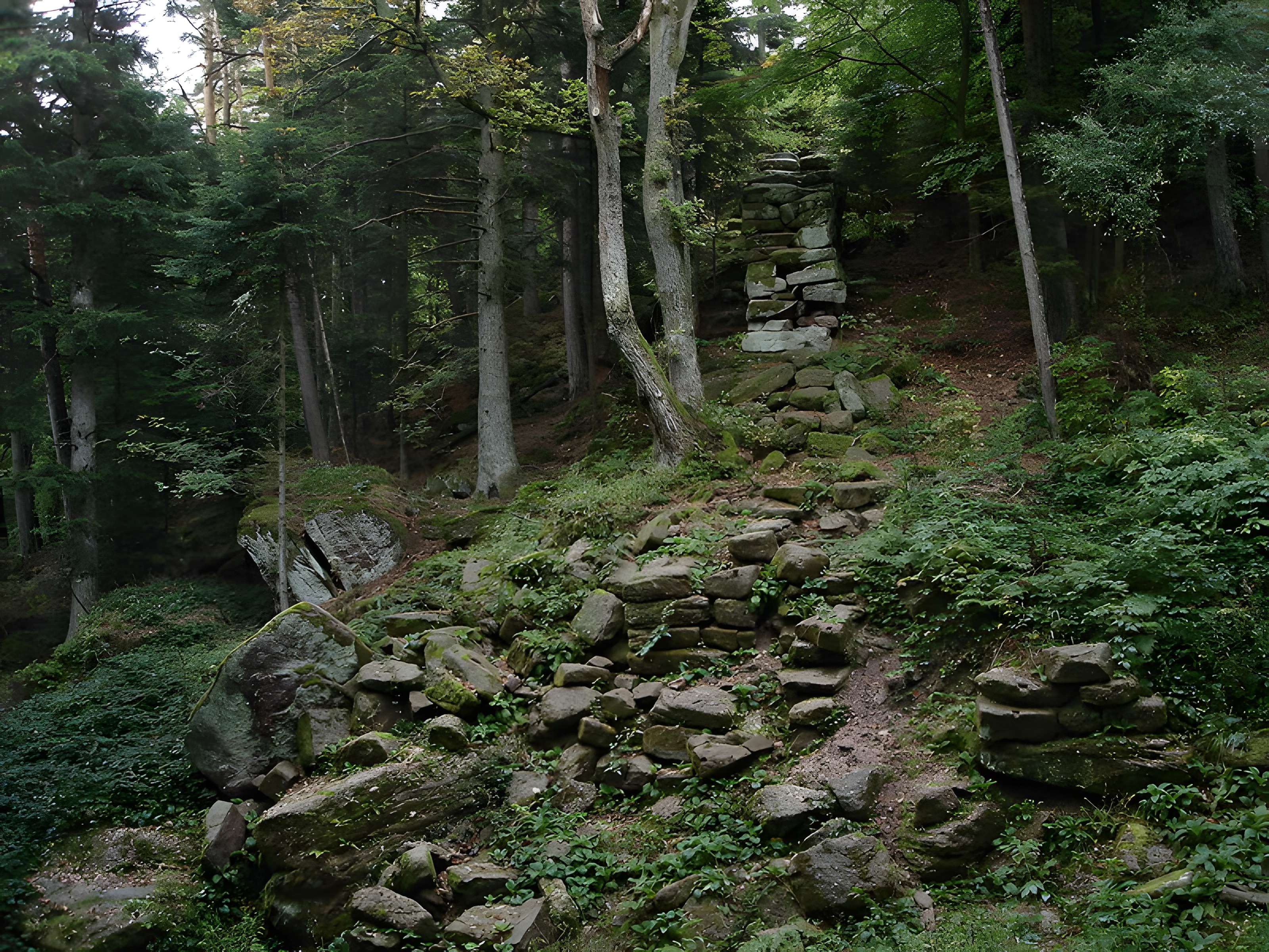 Mur païen du mont Sainte-Odile à Ottrott