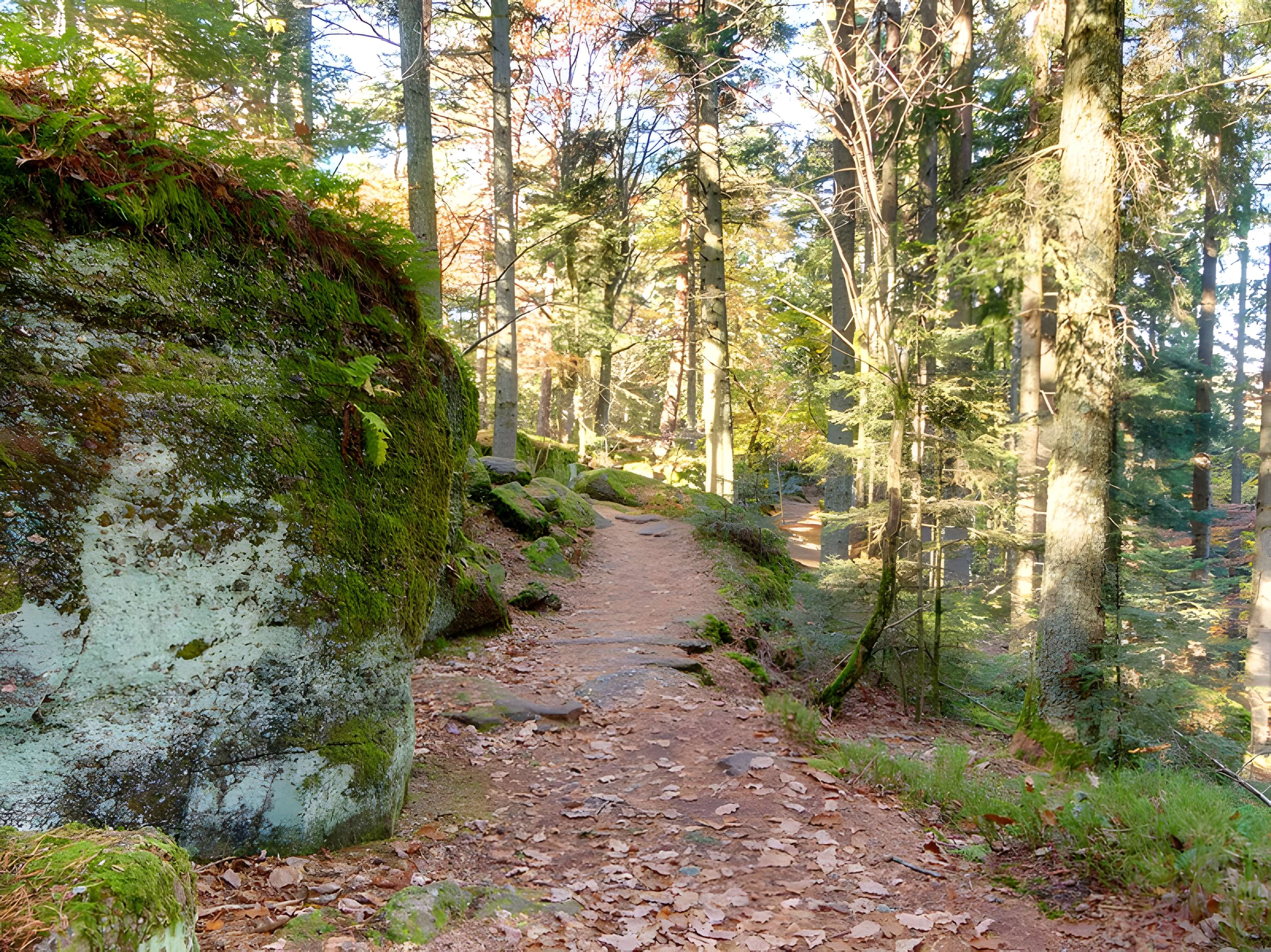 Mur païen du mont Sainte-Odile à Ottrott