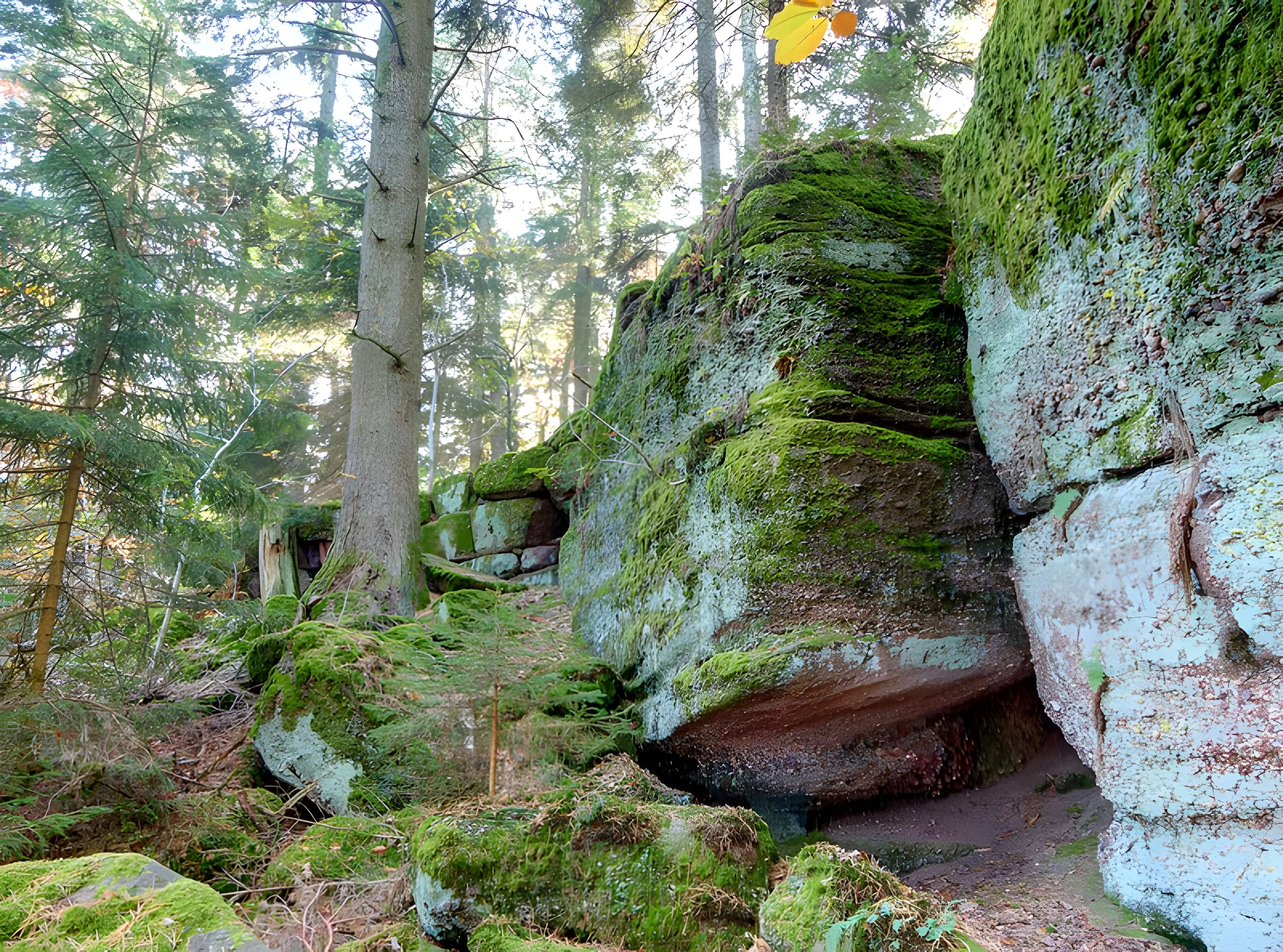 Mur païen du mont Sainte-Odile à Ottrott