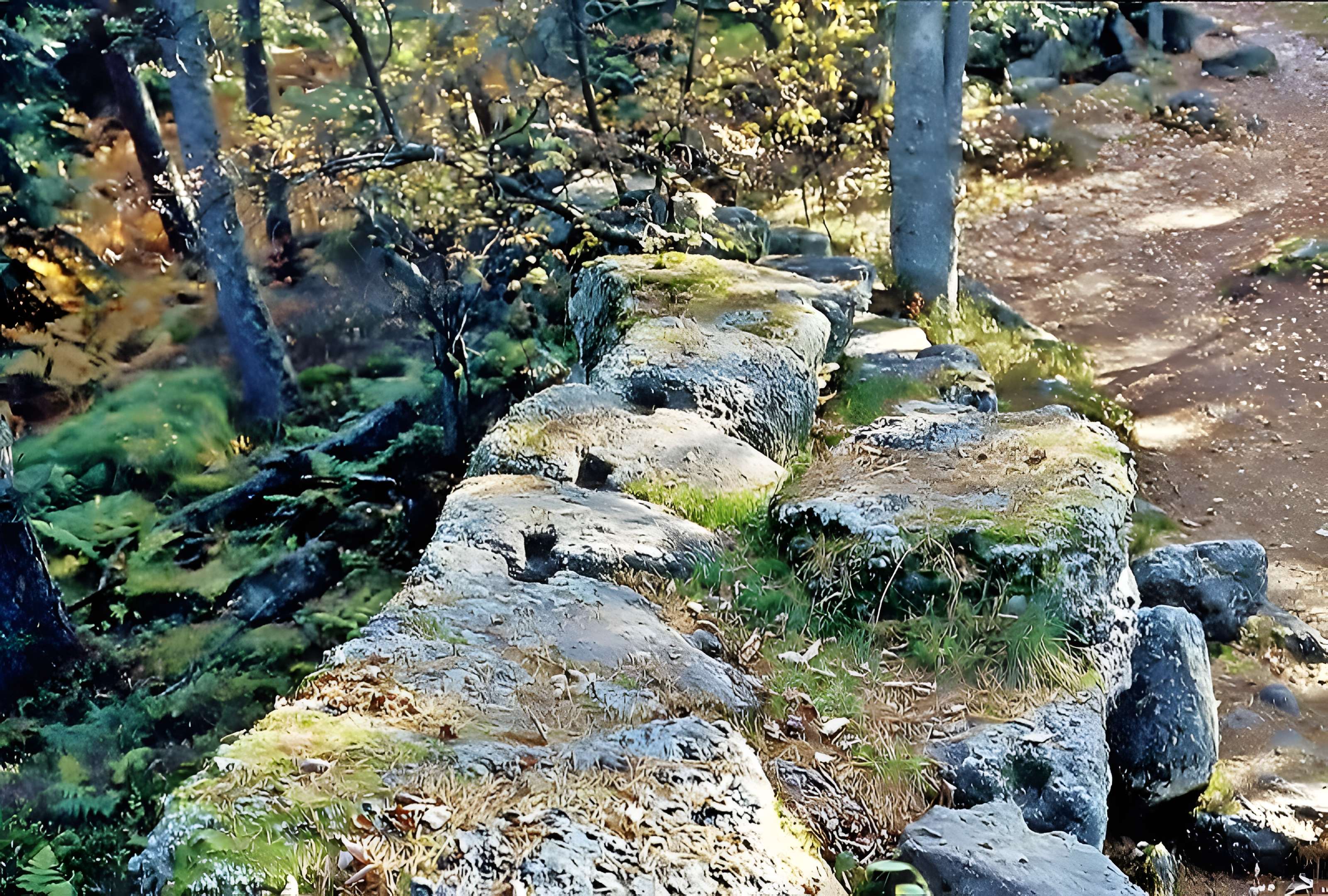 Mur païen du mont Sainte-Odile à Ottrott