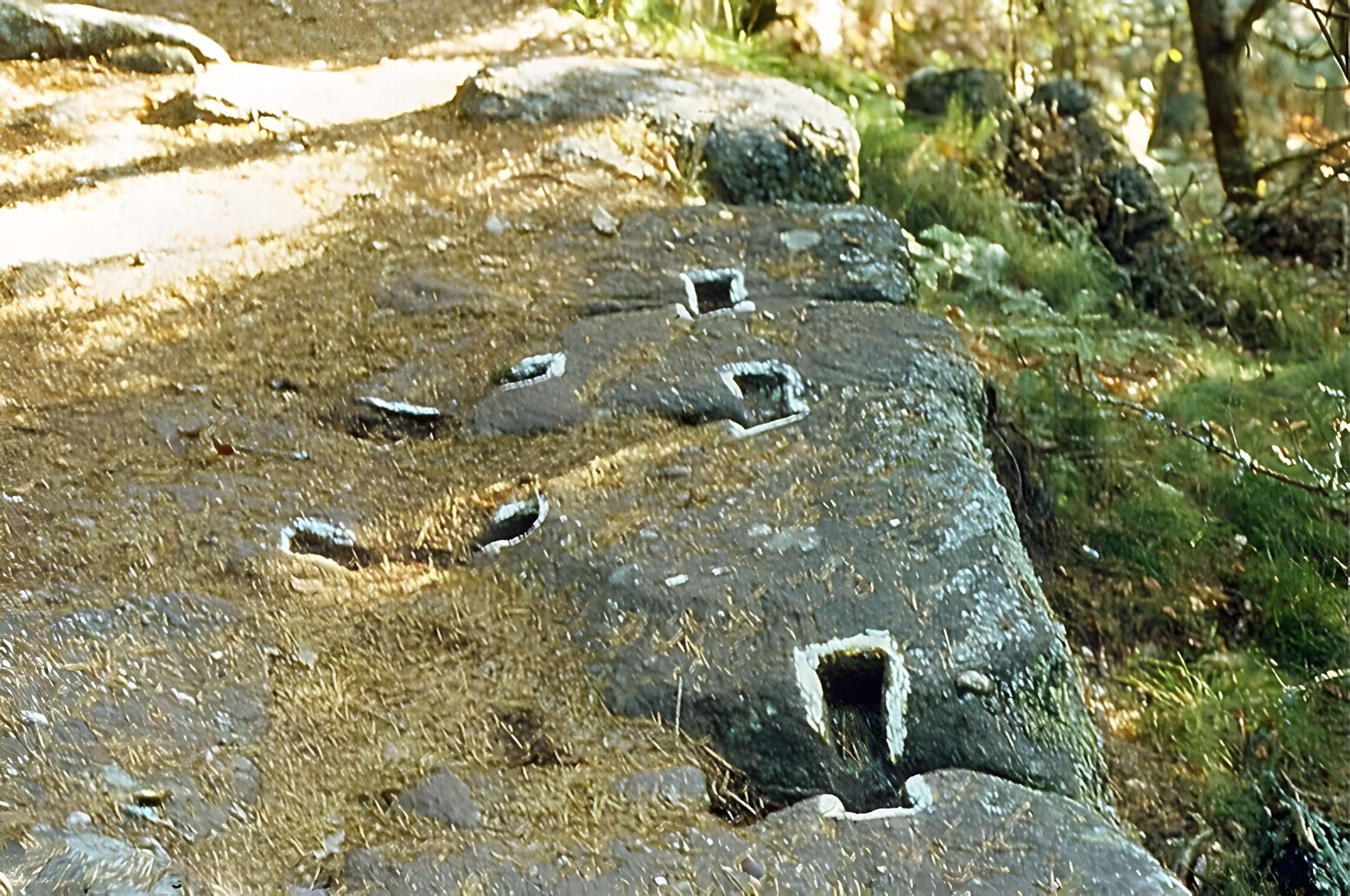 Mur païen du mont Sainte-Odile à Ottrott