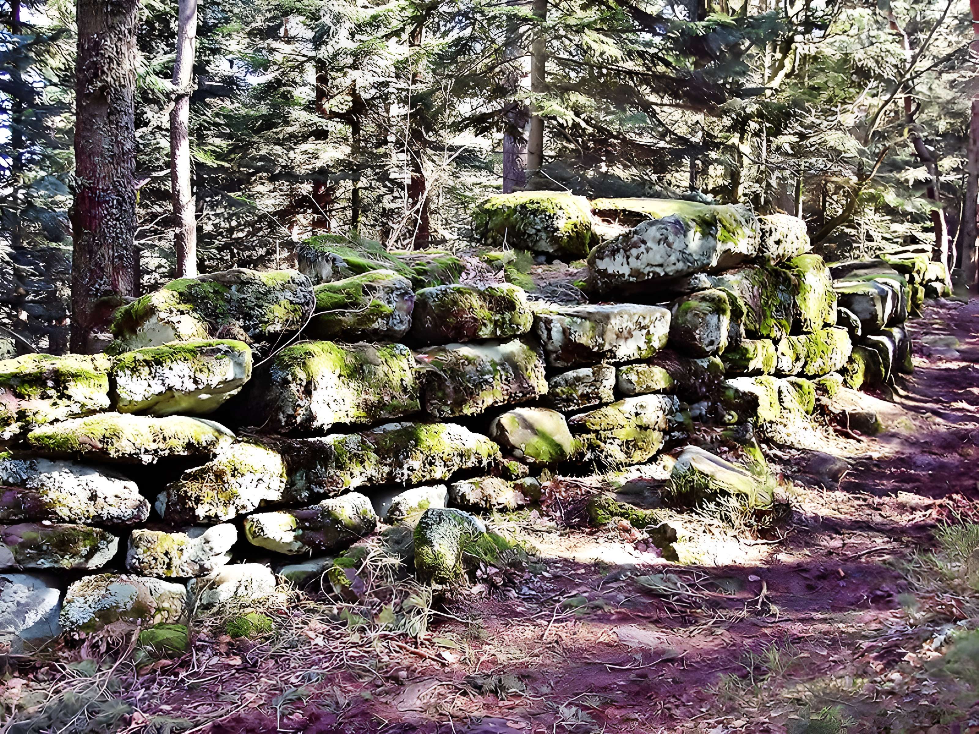 Mur païen du mont Sainte-Odile à Ottrott